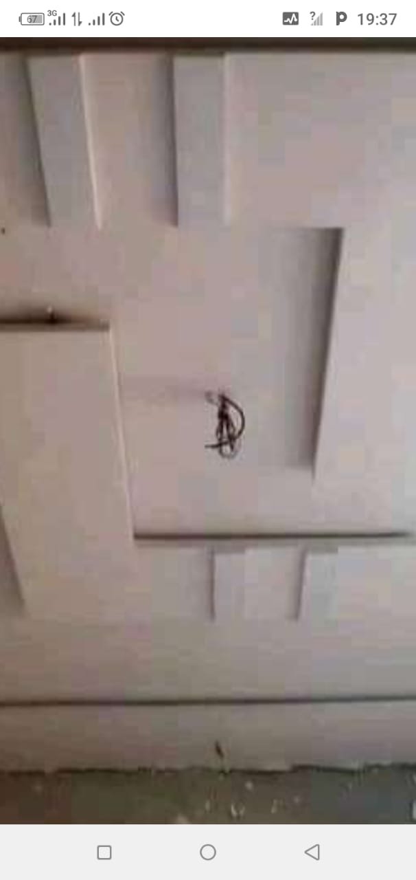 montassir krabo plâtre