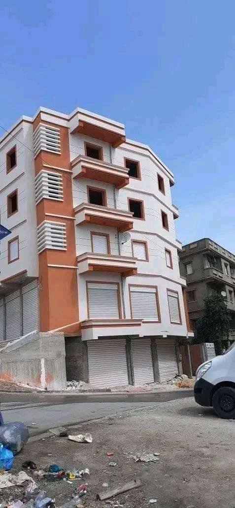 mohamed naoum peinture